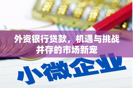 温岭外资银行贷款，机遇与挑战并存的市场新宠