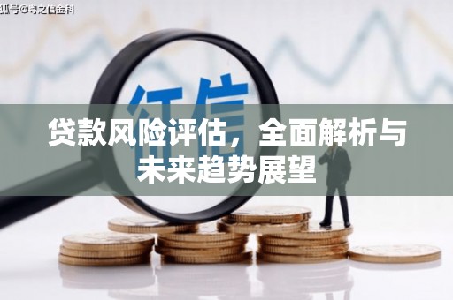 温岭贷款风险评估，全面解析与未来趋势展望