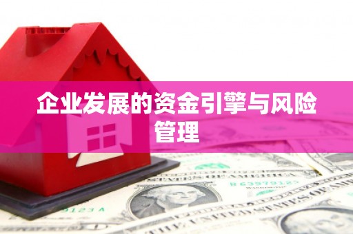 温岭企业发展的资金引擎与风险管理