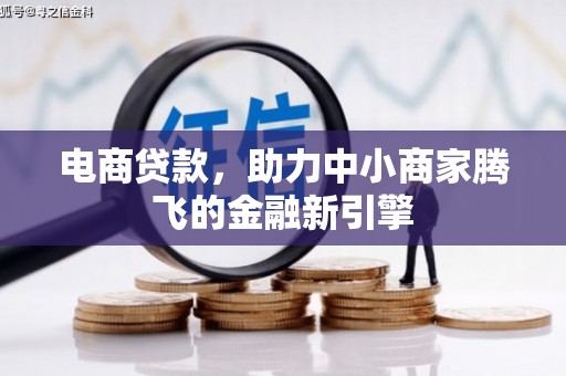 温岭电商贷款，助力中小商家腾飞的金融新引擎