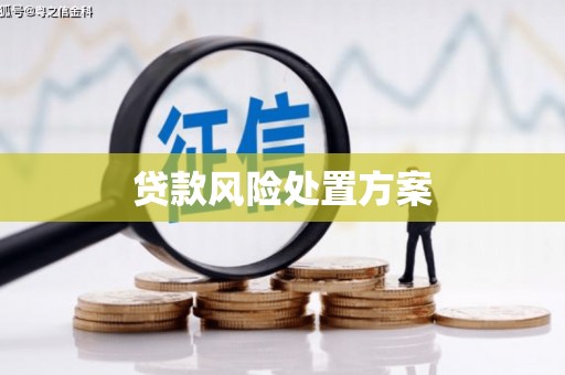 温岭贷款风险处置方案