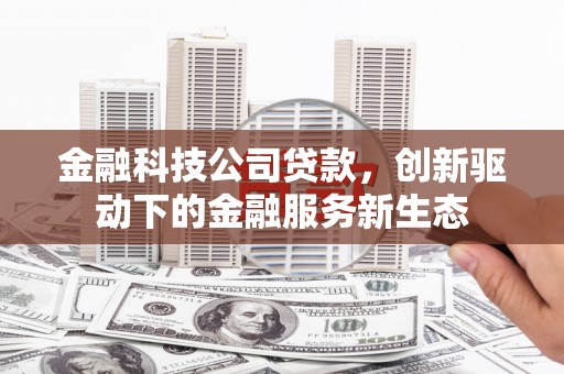 温岭金融科技公司贷款，创新驱动下的金融服务新生态