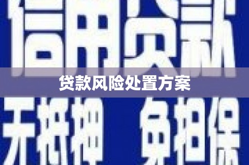 温岭贷款风险处置方案
