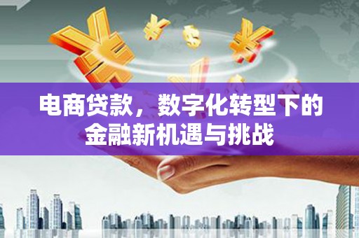 温岭电商贷款，数字化转型下的金融新机遇与挑战