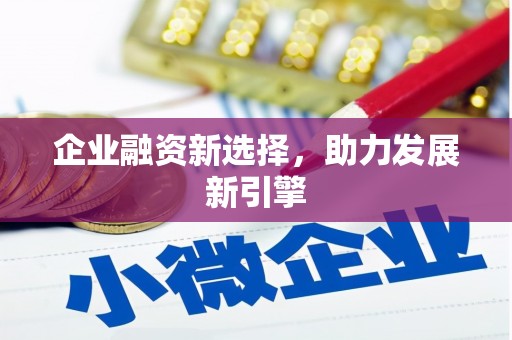 温岭企业融资新选择，助力发展新引擎