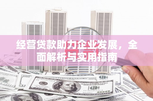 温岭经营贷款助力企业发展，全面解析与实用指南