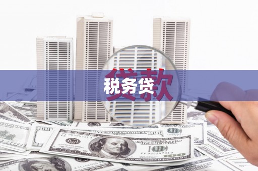 温岭税务贷