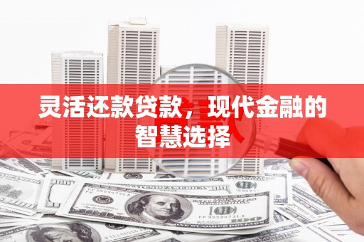 温岭灵活还款贷款，现代金融的智慧选择