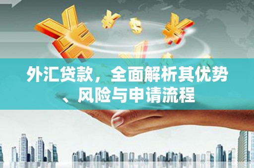 温岭外汇贷款，全面解析其优势、风险与申请流程