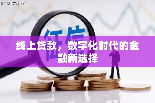 温岭线上贷款，数字化时代的金融新选择