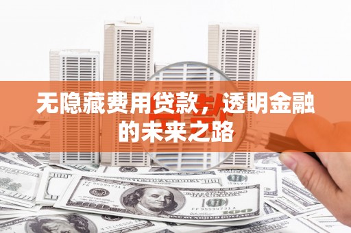 温岭无隐藏费用贷款，透明金融的未来之路