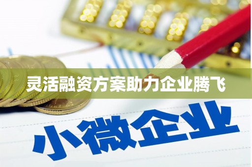 温岭灵活融资方案助力企业腾飞