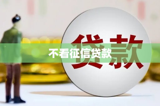 温岭不看征信贷款