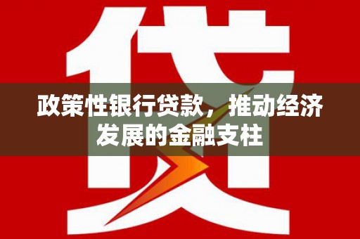 温岭政策性银行贷款，推动经济发展的金融支柱