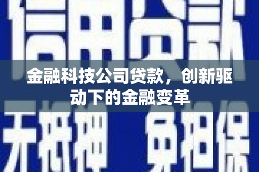 温岭金融科技公司贷款，创新驱动下的金融变革