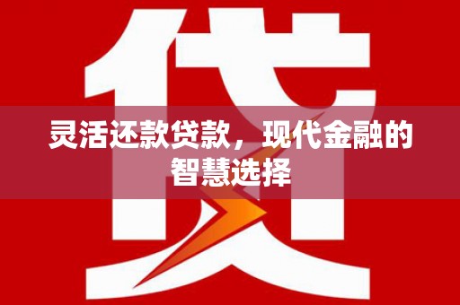 温岭灵活还款贷款，现代金融的智慧选择