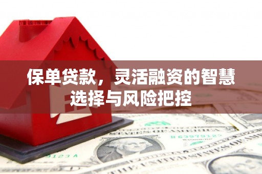 温岭保单贷款，灵活融资的智慧选择与风险把控