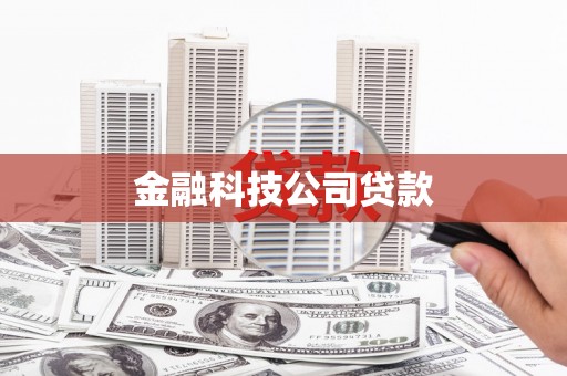 温岭金融科技公司贷款