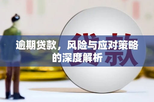 温岭逾期贷款，风险与应对策略的深度解析