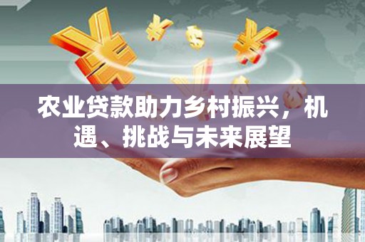温岭农业贷款助力乡村振兴，机遇、挑战与未来展望