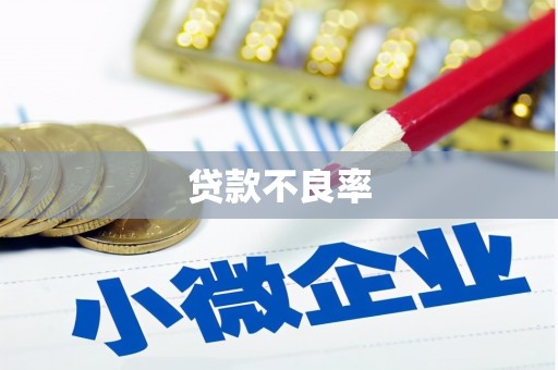 温岭贷款不良率