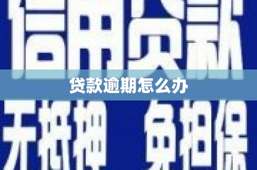 温岭贷款逾期怎么办