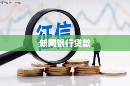温岭新网银行贷款