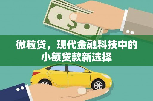 温岭微粒贷，现代金融科技中的小额贷款新选择