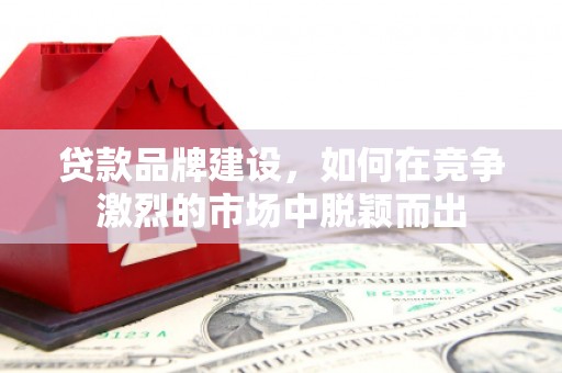 温岭贷款品牌建设，如何在竞争激烈的市场中脱颖而出