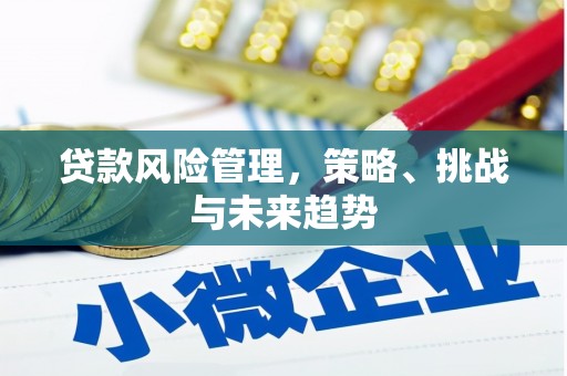 温岭贷款风险管理，策略、挑战与未来趋势