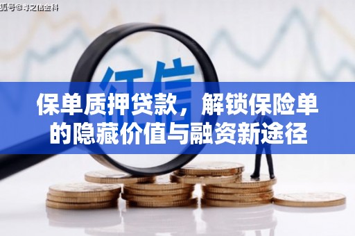 温岭保单质押贷款，解锁保险单的隐藏价值与融资新途径