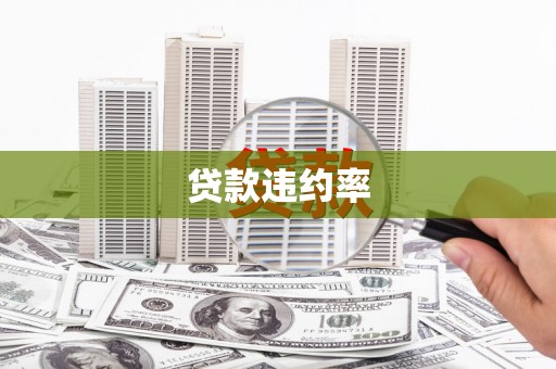 温岭贷款违约率