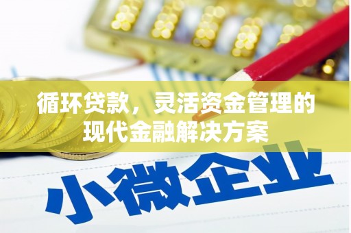 温岭循环贷款，灵活资金管理的现代金融解决方案