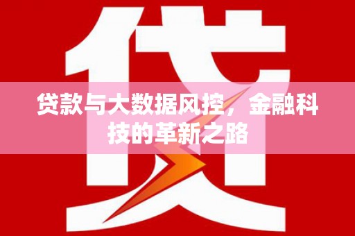 温岭贷款与大数据风控，金融科技的革新之路