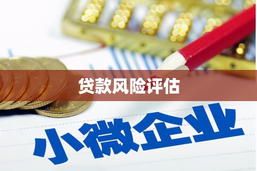 温岭贷款风险评估
