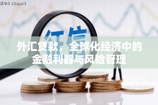 温岭外汇贷款，全球化经济中的金融利器与风险管理