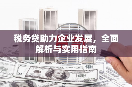 温岭税务贷助力企业发展，全面解析与实用指南