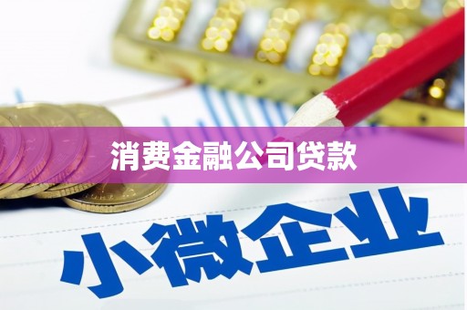 温岭消费金融公司贷款