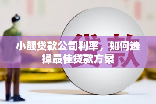 温岭小额贷款公司利率，如何选择最佳贷款方案