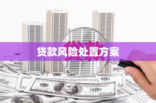 温岭贷款风险处置方案