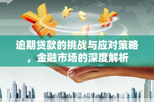 温岭逾期贷款的挑战与应对策略，金融市场的深度解析