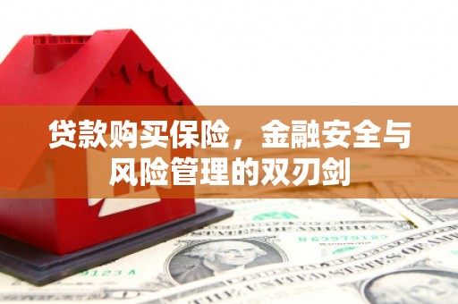 温岭贷款购买保险，金融安全与风险管理的双刃剑