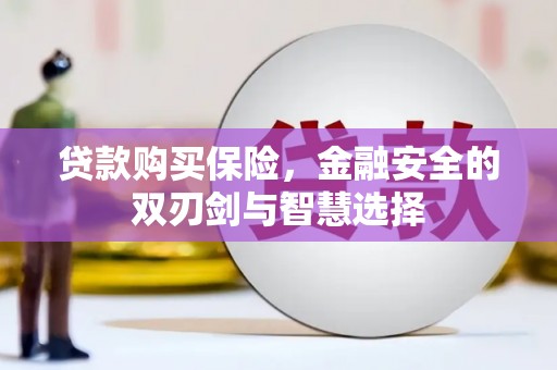 温岭贷款购买保险，金融安全的双刃剑与智慧选择