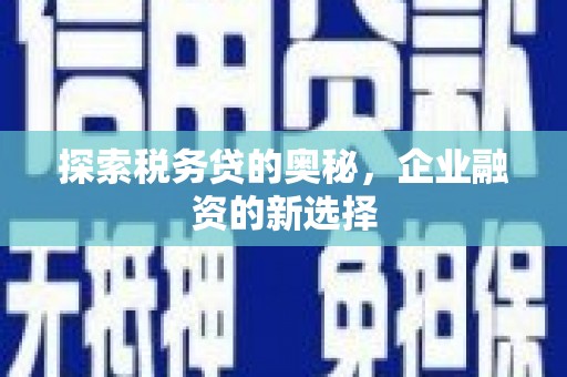 温岭探索税务贷的奥秘，企业融资的新选择