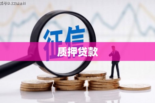温岭质押贷款