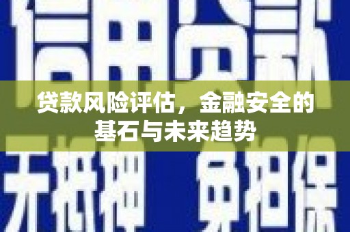 温岭贷款风险评估，金融安全的基石与未来趋势