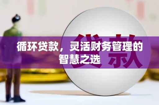 温岭循环贷款，灵活财务管理的智慧之选