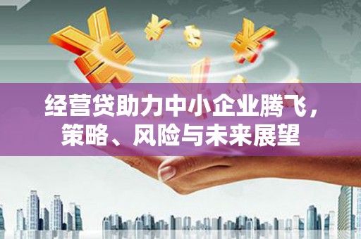 温岭经营贷助力中小企业腾飞，策略、风险与未来展望
