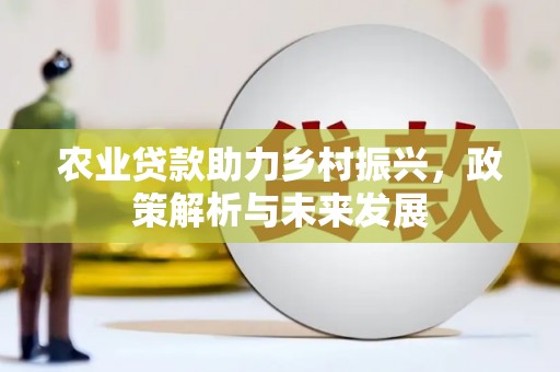 温岭农业贷款助力乡村振兴，政策解析与未来发展