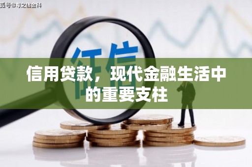 温岭信用贷款，现代金融生活中的重要支柱